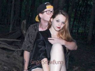 GingerSnowBunny