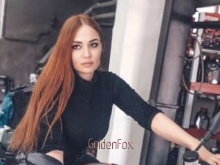 GoldenFox
