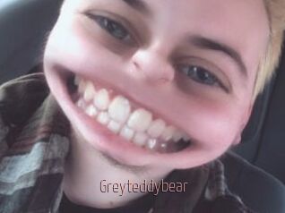 Greyteddybear