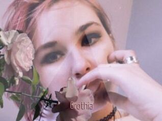 Grothia
