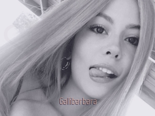 Gallibarbara