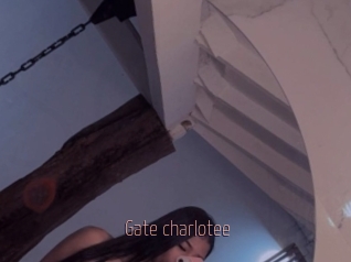 Gate_charlotee