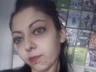 Gattahot
