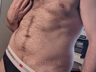 Gattorcatnb