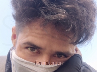 Geminidamian