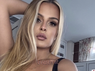 Ginaschmit