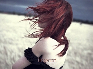 Gingercat