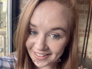Gingerxspiceuk