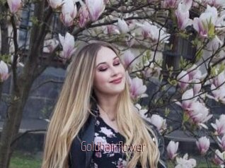Goldhairflower