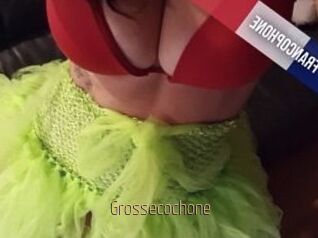 Grossecochone