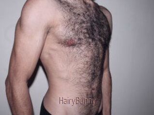 HairyBunny