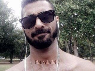 Hairydude87