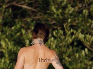 HarleyM