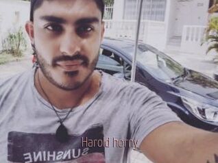 Harold_horny