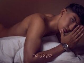 HarryBigxx