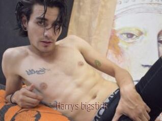 Harrys_bigstick