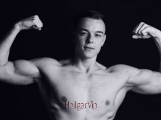 HeilgarVip