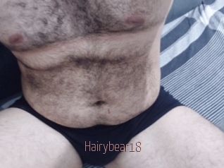 Hairybear18