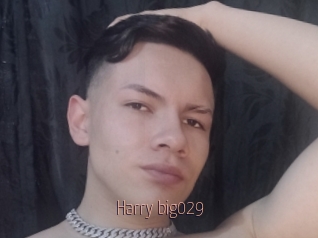 Harry_big029