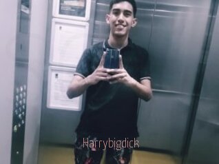 Harrybigdick