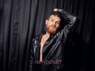 Harrybsmdirt