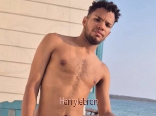 Harrylebron