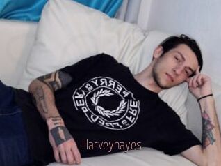 Harveyhayes