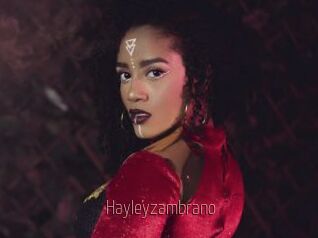 Hayleyzambrano