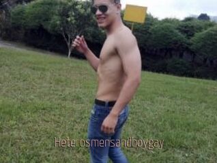 Heterosmensandboygay