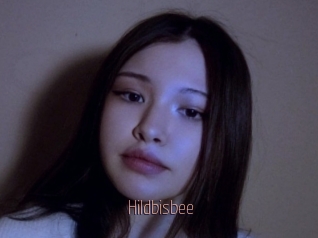 Hildbisbee