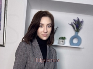 Hildgallamore