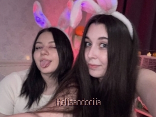 Hollisandodilia