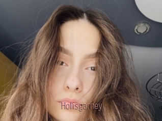 Hollisgarney