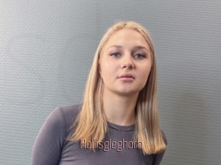 Hollisgleghorn