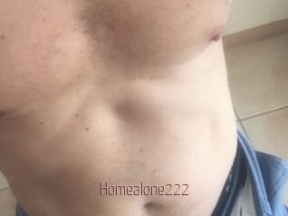 Homealone222