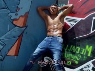 Hornyboycockhard