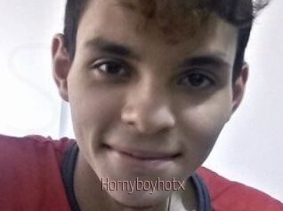 Hornyboyhotx