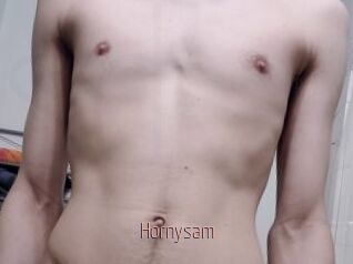 Hornysam