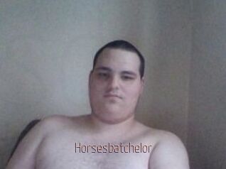 Horsesbatchelor