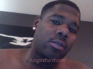 Hungandhandsome