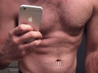 Hungbistud18