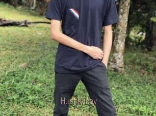 Hushkyboy