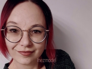 Inezmodel