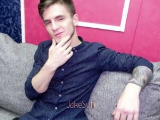 JakeSulii