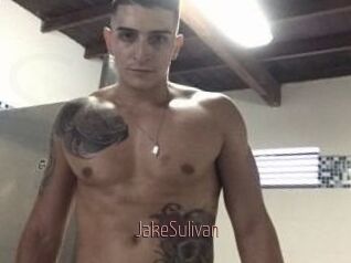 Jake_Sulivan