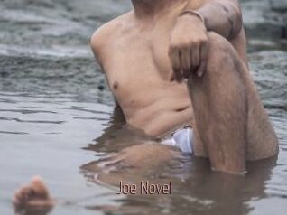 Joe_Novel