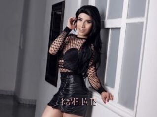 KAMELIA_TS