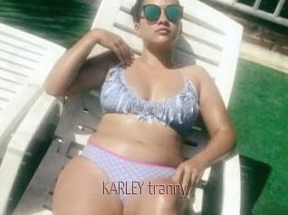 KARLEY_tranny