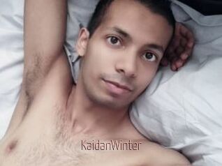 KaidanWinter