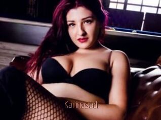 Karinasodi